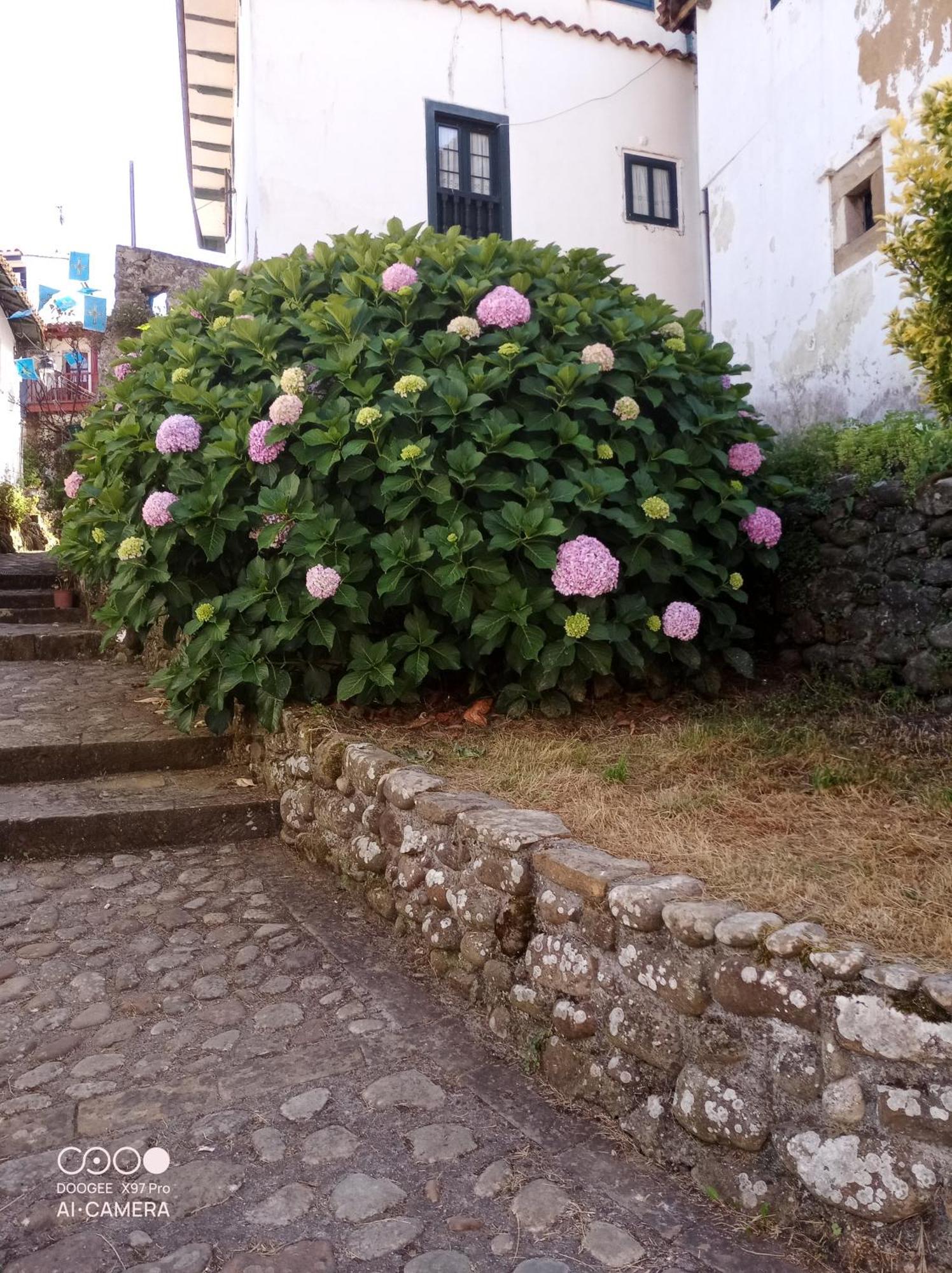 Tazones 79 Vut6993As Apartment Exterior photo